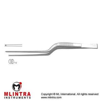 Dissecting Forceps 1 x 2 Teeth Stainless Steel, 15.5 cm - 6" Tip Size 0.6 mm
